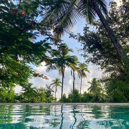 Bellevue Zanzibar Bed & Breakfast Bwejuu Luaran gambar