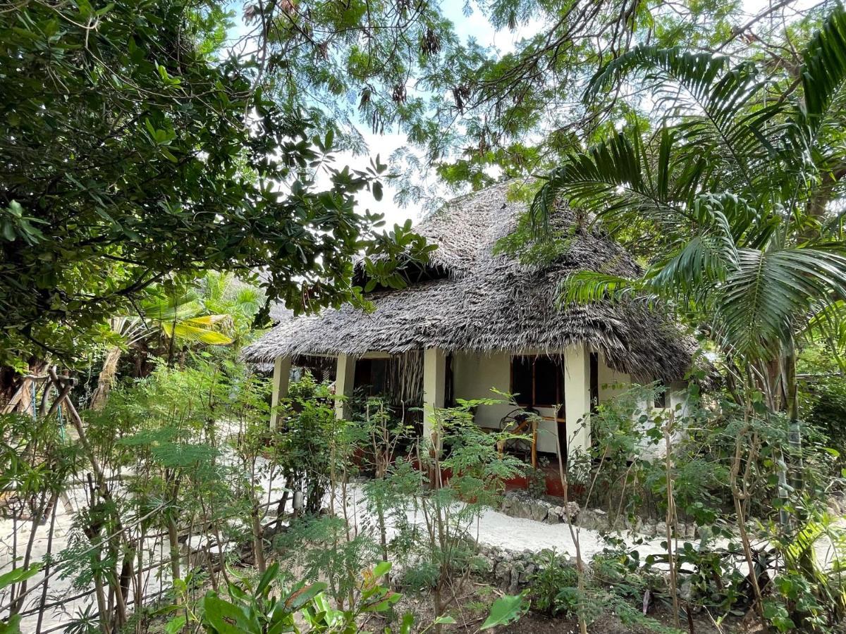Bellevue Zanzibar Bed & Breakfast Bwejuu Bilik gambar
