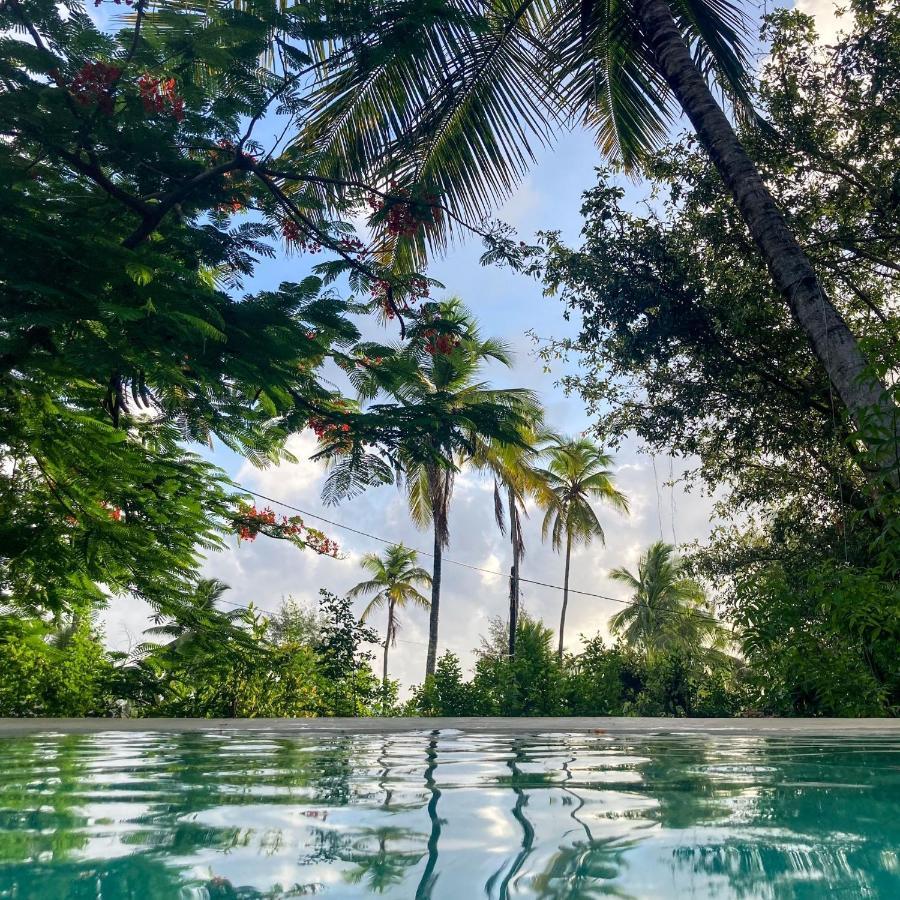 Bellevue Zanzibar Bed & Breakfast Bwejuu Luaran gambar