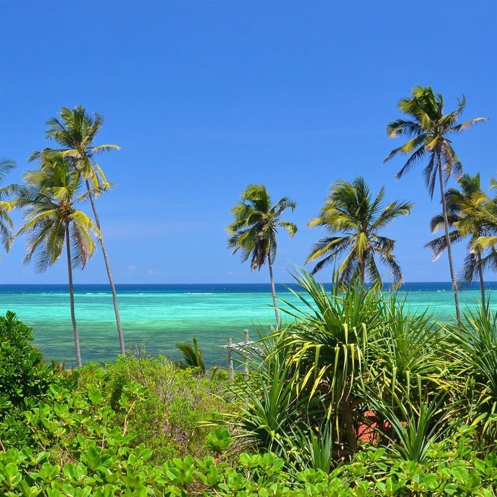 Bellevue Zanzibar Bed & Breakfast Bwejuu Luaran gambar