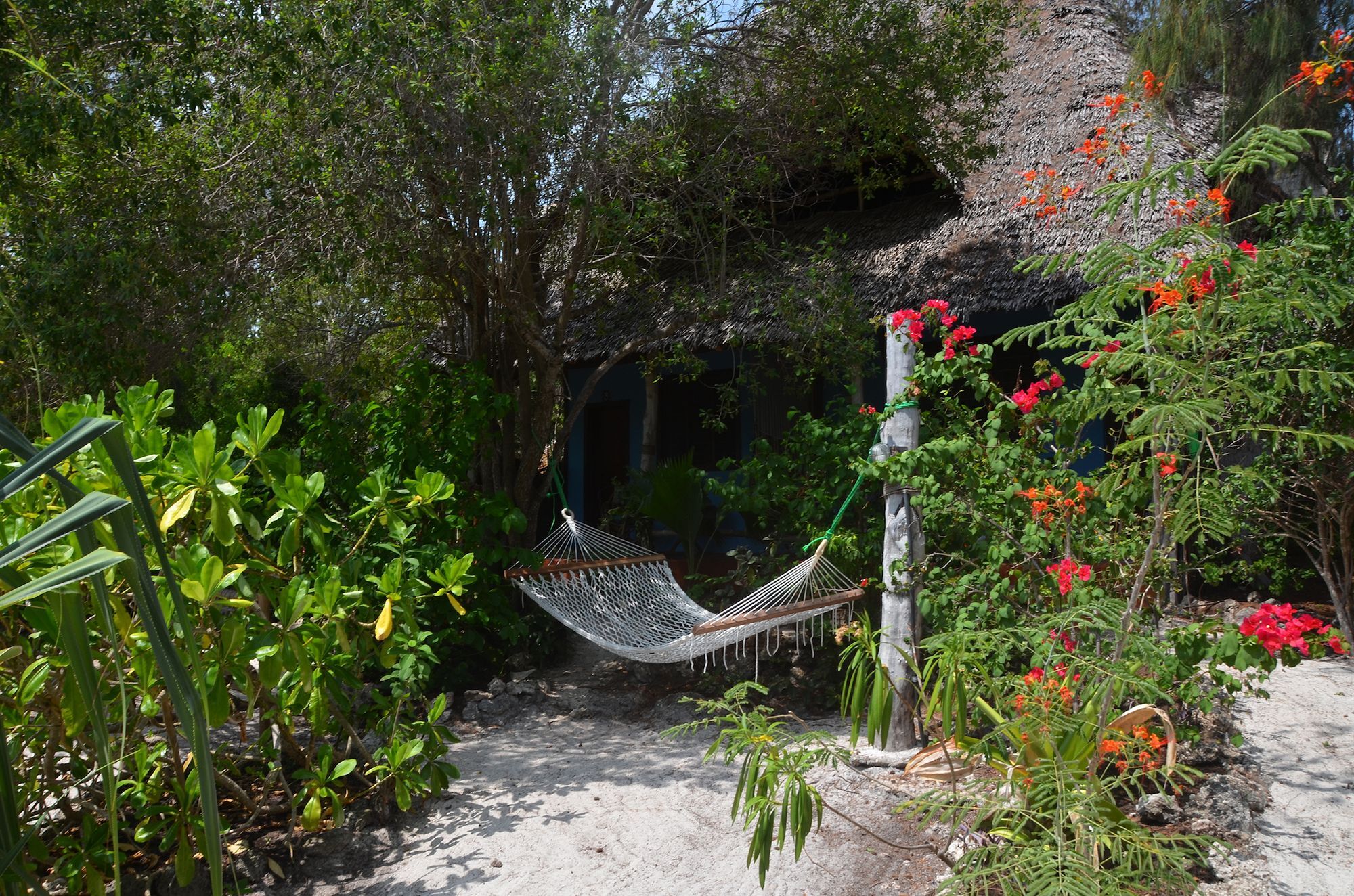 Bellevue Zanzibar Bed & Breakfast Bwejuu Luaran gambar